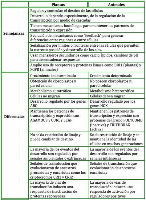 Ejemplo De Un Cuadro Comparativo De Semejanzas Y Diferencias Ejemplo Images Hot Sex Picture