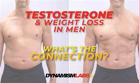 Testosterone And Weight Loss In Men Whats The Connection Dynamism Labs