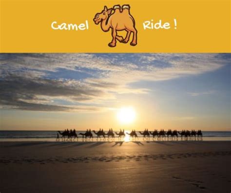 Broome Camel Ride – Kidsetter