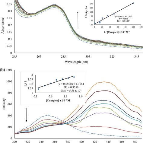 A Electronic Absorption Spectra Of Bsa In The Absence Dashed Line And