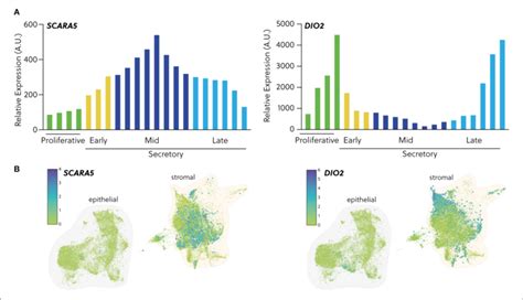 Expression Of Cell Fate Biomarkers A In Silico Analysis Of Gds