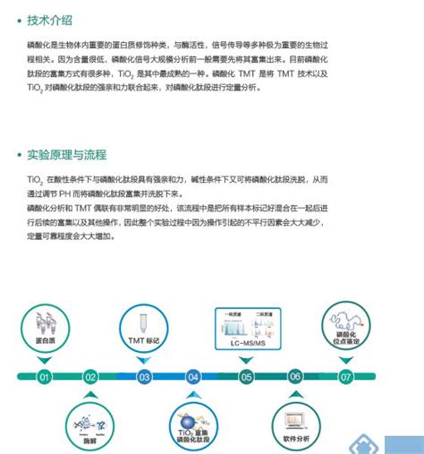 修饰技术 磷酸化tmt标记定量 蛋白相关服务 技术服务 生物在线