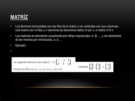 Matrices Y Determinantes PPT