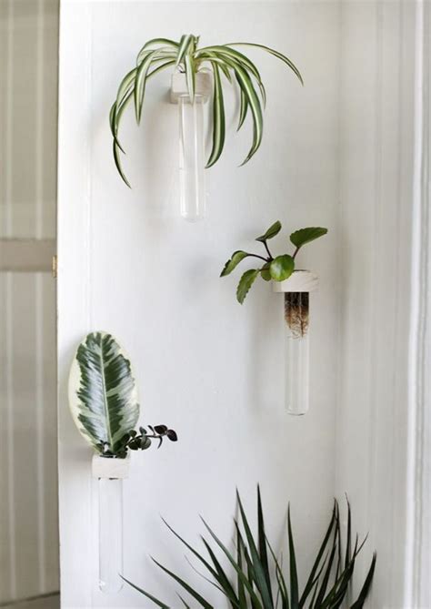 5 Ideas Sobre Como Poner Plantas En La Pared O En El Techo