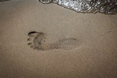 A Footprint Is In The Fine Beach Sand By The Sea Stock Photo Image Of