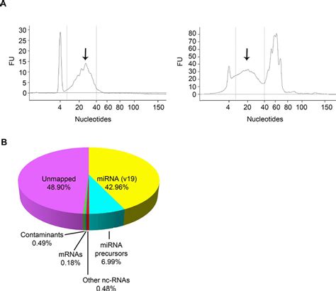 Characterization Of The Small Rna Content Of Urinary Exosomes A