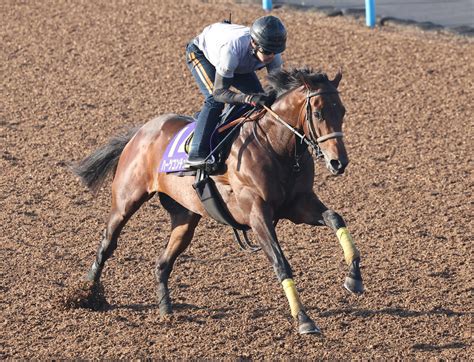 【ダービー】ハーツコンチェルト11秒4、スピード感十分の動き 武井師は上積み約束 3歳馬特集 競馬写真ニュース 日刊スポーツ