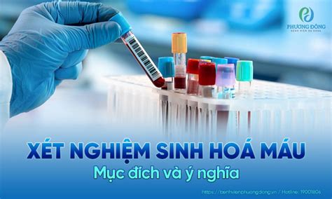 Xét Nghiệm Sinh Hóa Máu Là Gì Lý Giải Các Chỉ Số Xét Nghiệm Quan Trọng