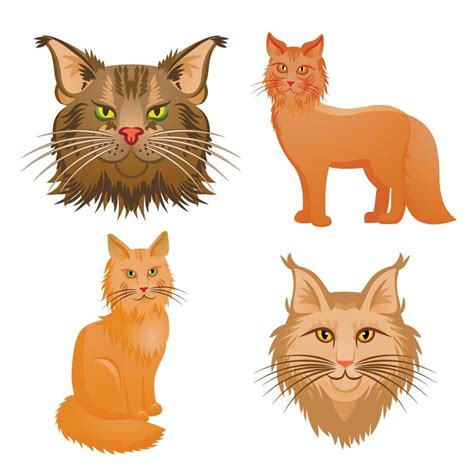 Maine Coon Icons Set Cartoon Style Vector Art At Vecteezy