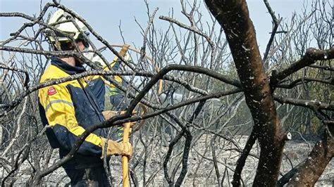 Extinguidos Dos Incendios Forestales Declarados En Zonas De Cereal En