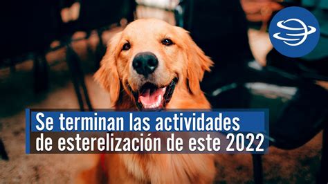 10 de Noviembre último día para esterilizar a tu mascota en Fresnillo