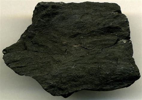 Lignite coal (4.5 cm across)