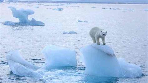 Hallazgo cómo un efecto del cambio climático altera la rotación de la