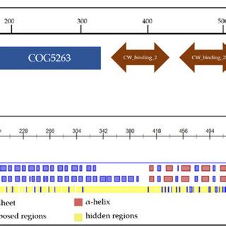 The Analysis Of The Conserved Domains A And Secondary Structure B