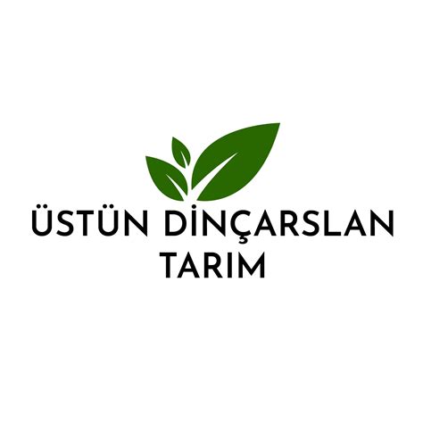 Farkedilmeyen üstün Zekalılar