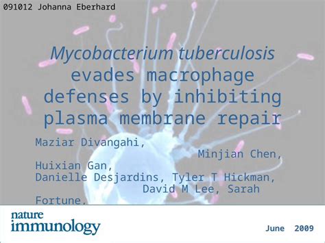 PPT Mycobacterium Tuberculosis Evades Macrophage Defenses By