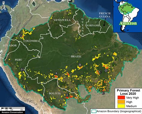 MAAP #132: Amazon Deforestation Hotspots 2020 - Amazon Conservation ...