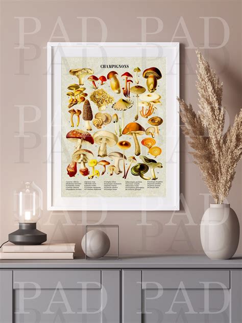 Mushroom Chart – Print Art Designs