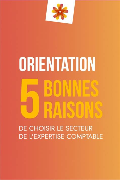 5 Bonnes Raisons De Choisir Le Secteur De Lexpertise Comptable