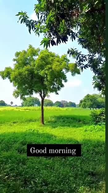 🌞 Good Morning🌞 Videos • A🥰s Ankurking123 On Sharechat