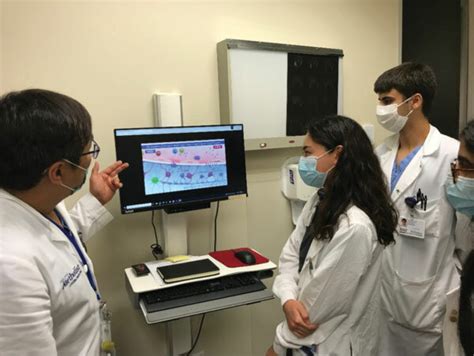 Learning about the basics of neuroimmunology. | Download Scientific Diagram