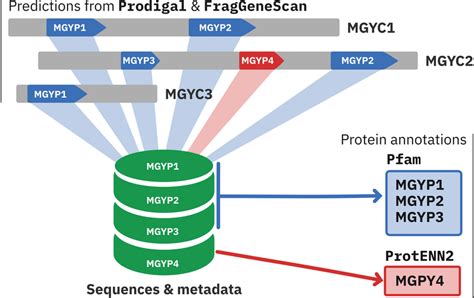 Schematic of the protein database. Proteins are predicted on each... | Download Scientific Diagram