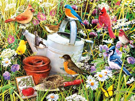 Garden Birds 500 Pieces Ceaco Puzzle Warehouse