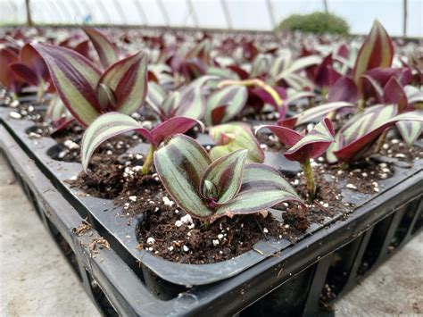 Penn state hershey portal simplifies how patients manage their care 26