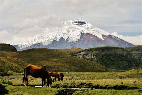 THE BEST 5 HIKING TRAILS IN ECUADOR - Adventure Journeys