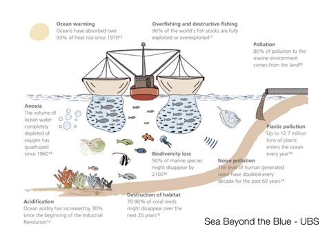 Qual a importância dos oceanos para o planeta Cook 4 Life