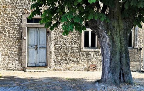 Kastanie Als Naturdenkmal Ausgewiesen Im Schlosshof Von Schloss