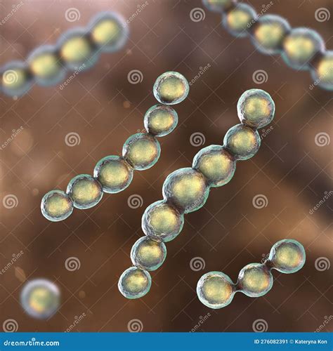 Lobomycosis, A Chronic Skin Disease Caused By Microscopic Fungi Lacazia