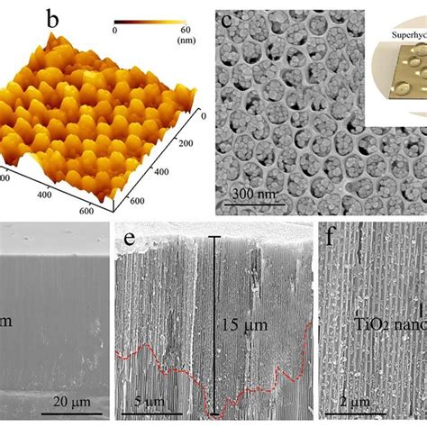 Characterization Of The Superhydrophobic Coating A B 2d And 3d Afm