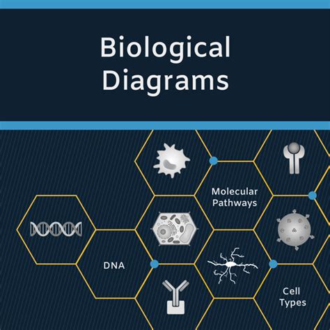 Science Vector Images and Templates | Free and Affordable Downloads