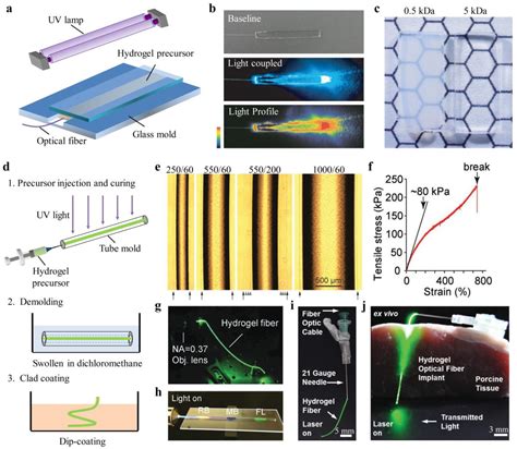 Sensors Free Full Text Soft And Stretchable Polymeric Optical