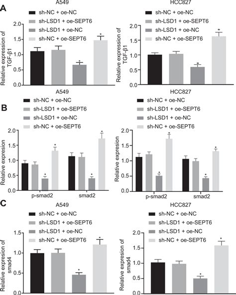 Lsd1 Promotes Nsclc Metastasis Through The Tgf β1smad Pathway A