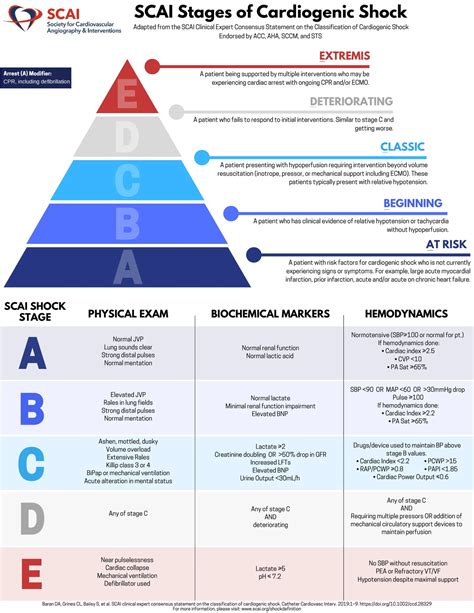 SCAI - Cardiogenic Shock Scale Overview and Assessment Guide - Studocu