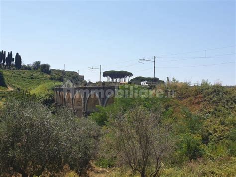 Terreno Agricolo Via Castel De Paolis Grottaferrata Rif 75128752