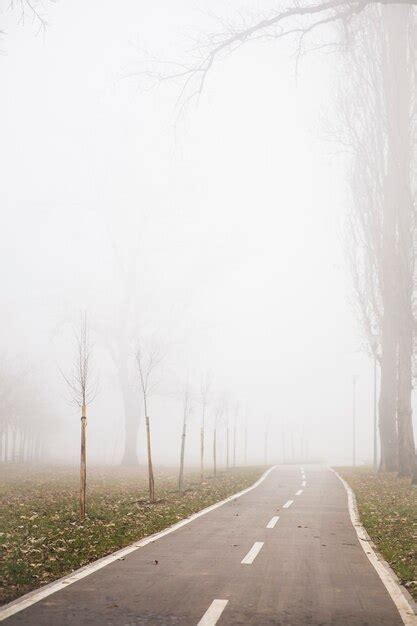 Premium Photo View At Bike Path In The Foggy Winter Day