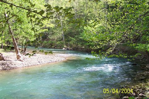 Back Creek Gorge Wildflower Trail