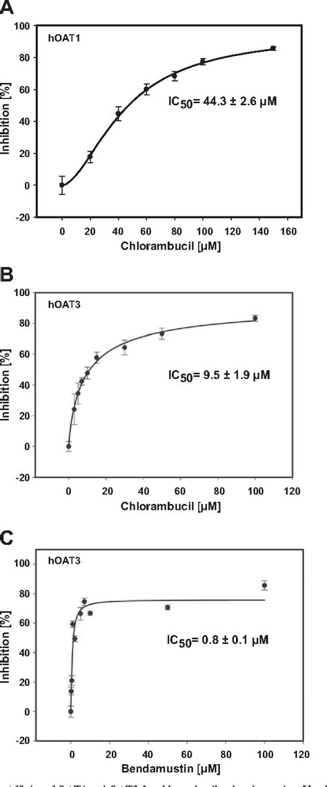 Figure 2 from Renal human organic anion transporter 3 increases the susceptibility of lymphoma ...