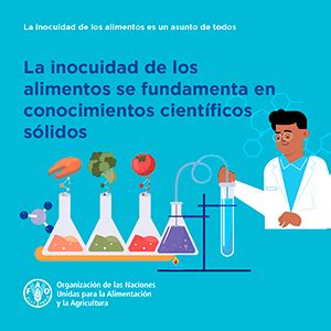 Preguntas Y Respuestas Sobre Inocuidad Alimentaria Inocuidad Y