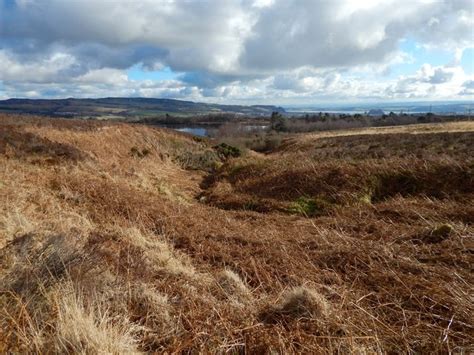 Burn Flowing Towards Carman Reservoir © Lairich Rig Geograph Britain And Ireland