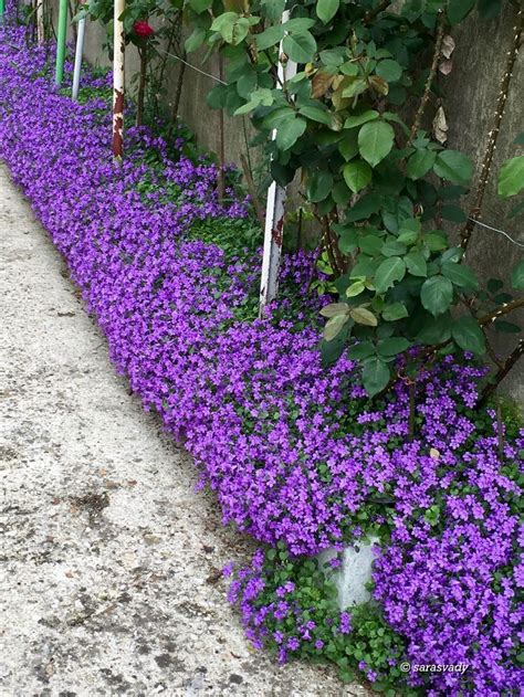 Épinglé par Emmanuel Bedouet sur jardins zen en 2024 Jardin de