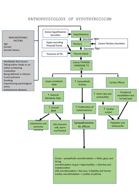 Pathophysiology Of Hypothyroidism Pathophysiology Of Hypothyroidism