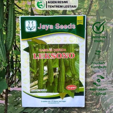 Benih Unggul Gambas Hibrida Leksono 10 Gram Cap Jaya Seeds Rasa Manis