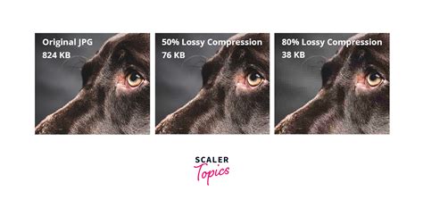 Lossless Vs Lossy Data Compression Scaler Topics