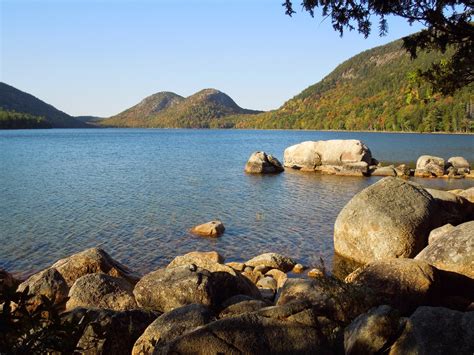 wheres willy   beautiful mt desert island maine