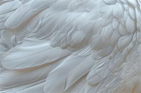 intricate wing texture images    freepik