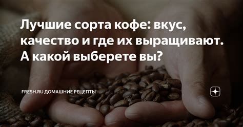 Лучшие сорта кофе: вкус, качество и где их выращивают. А какой выберете ...